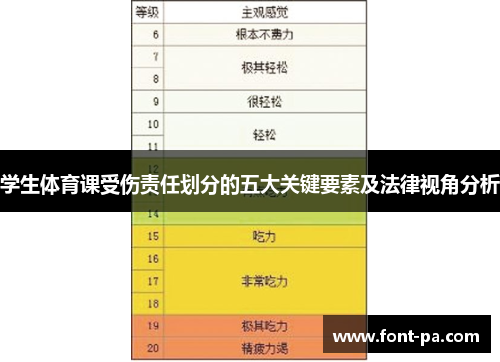 学生体育课受伤责任划分的五大关键要素及法律视角分析