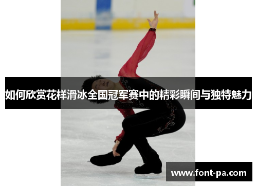 如何欣赏花样滑冰全国冠军赛中的精彩瞬间与独特魅力