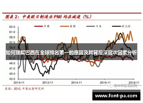 如何理解巴西在全球排名第一的原因及其背后深层次因素分析