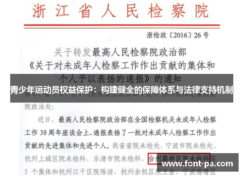 青少年运动员权益保护：构建健全的保障体系与法律支持机制