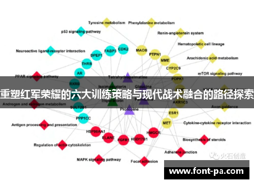 重塑红军荣耀的六大训练策略与现代战术融合的路径探索