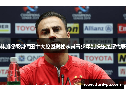 林加德被调侃的十大原因揭秘从灵气少年到快乐足球代表