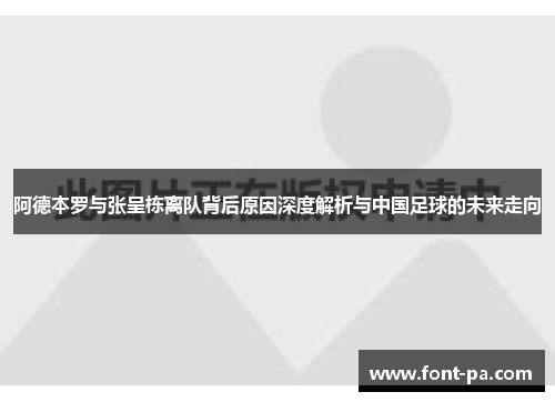 阿德本罗与张呈栋离队背后原因深度解析与中国足球的未来走向