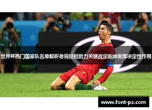世界杯热门国家队名单解析老将经验助力关键战定乾坤发挥决定性作用