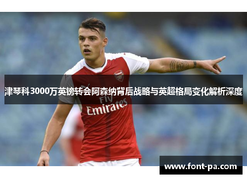 津琴科3000万英镑转会阿森纳背后战略与英超格局变化解析深度 津琴科3000万英镑转会阿森纳背后战略与英超格局变化解析深度